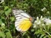 84375 – Photo : Alain BLED – Laos