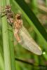 84071 – Photo : Vecho – France (85)