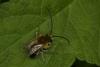 84735 – Photo : Michel Renou – France (91)