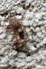 84346 – Photo : Nicolas Alric – France (12)