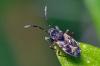 84727 – Photo : Christophe Quintin – France (21)