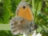 84714 – Photo : ALEXNR – France (46)