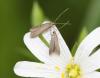 84611 – Photo : Bejac – France (63)