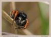 84726 – Photo : patrick derennes – France (77)