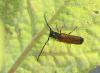 84394 – Photo : patrick derennes – France (77)