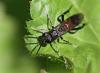 84461 – Photo : patrick derennes – France (77)