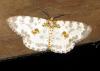 84441 – Photo : Alain BLED – Laos