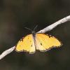 84001 – Photo : Michel José Quiblier – Éthiopie
