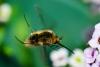 84878 – Photo : Karine Arnou – Italie