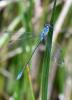84512 – Photo : Jean Maurette – Italie