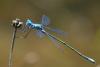 84901 – Photo : Denis Gaschignard – Guyane française