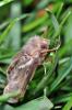 84894 – Photo : Christophe Quintin – France (21)