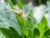 84284 – Photo : Vincent VALLI – France (10)