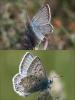 85821 – Photo : Christophe Germain – France (30)