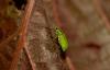 85777 – Photo : Pierre Duhem – France (75)