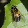 85104 – Photo : Eugène Vandebeulque – France (45)