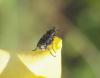 85481 – Photo : Bernard Choux – France (26)