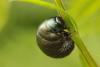 85664 – Photo : Zogrot – France (62)