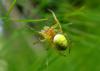 85053 – Photo : Jean-Claude Jamoulle – France (06)
