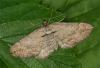 85931 – Photo : Pelouard – France (72)