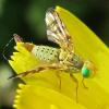 85387 – Photo : christine le fur – France (91)