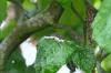 85881 – Photo : Vita – France (53)