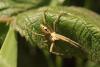 85668 – Photo : Zogrot – France (62)