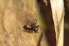 85930 – Photo : Zogrot – France (59)