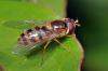 85005 – Photo : Christophe Quintin – France (21)