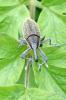 86326 – Photo : Nicolas Alric – France (12)