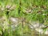 86792 – Photo : Nicolas Alric – France (12)