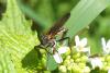 86606 – Photo : Nicolas Alric – France (12)