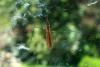 86076 – Photo : Nicolas Alric – France (12)