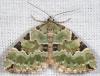 86578 – Photo : Arthropa - Benoit Martha – France (18)