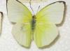 86645 – Photo : Alain BLED – Laos