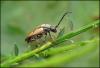 86034 – Photo : Maud Dewaele – Belgique