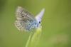 86806 – Photo : Adrien Broni – France (02)