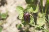 86461 – Photo : Adrien Broni – France (02)