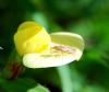 86052 – Photo : Patrick Decreus – France (93)