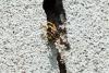 86426 – Photo : Nicolas Alric – France (12)