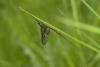 86384 – Photo : Michel Renou – France (91)