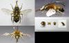 86683 – Photo : Arthropa - Benoit Martha – France (18)