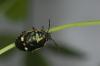 86732 – Photo : Michel Renou – France (91)