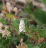 86419 – Photo : Bejac – France (63)