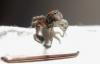 86846 – Photo : Philippe Legros – France (75)
