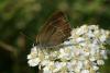 86969 – Photo : Michel Ehrhardt – France (68)