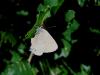 86930 – Photo : Bijiaoui Robert – France (34)