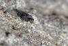 86968 – Photo : Christophe Quintin – France (21)