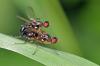 86571 – Photo : Christophe Quintin – France (21)