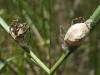 86494 – Photo : Matthieu Gauvain – France (13)